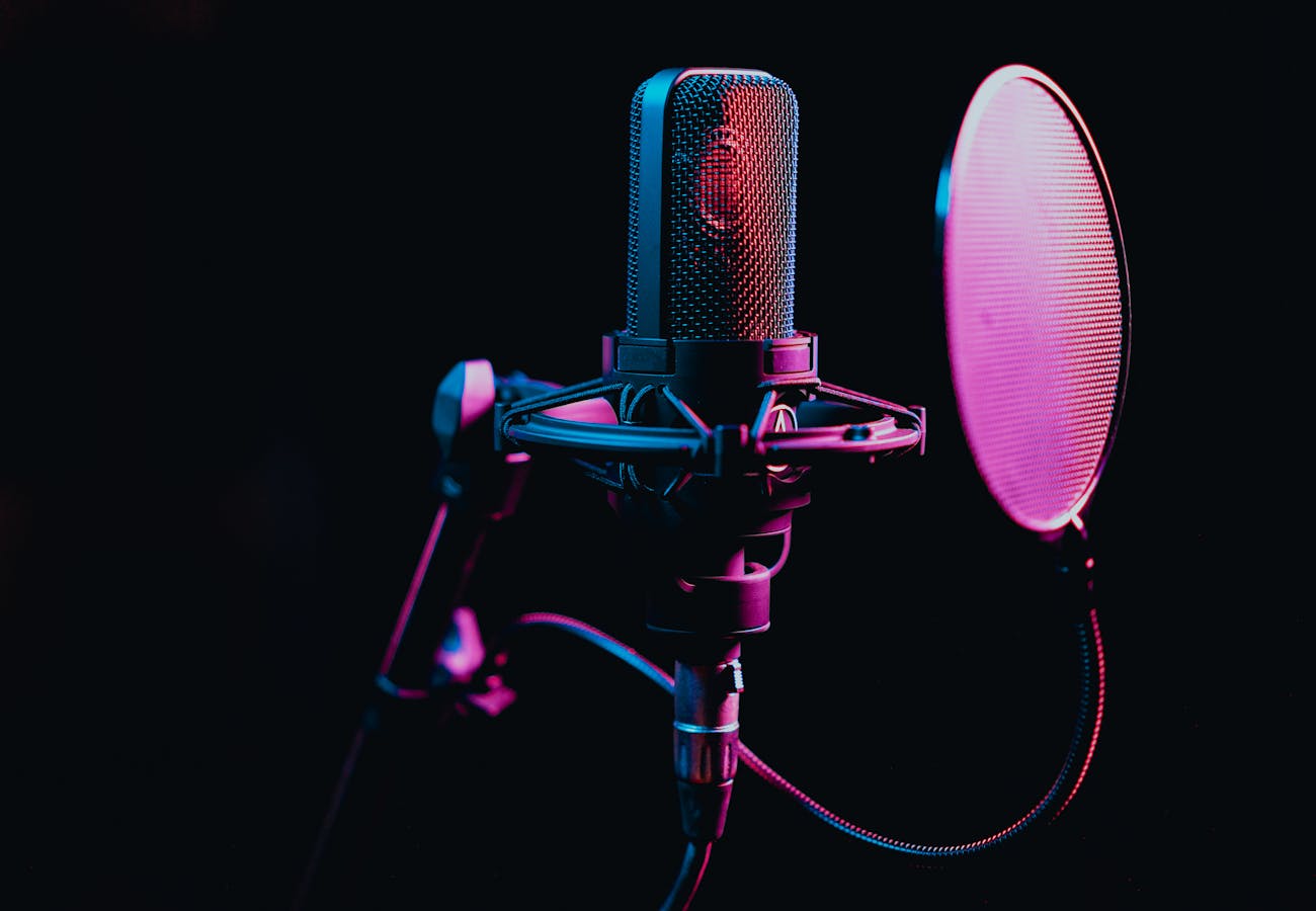 Professional microphone